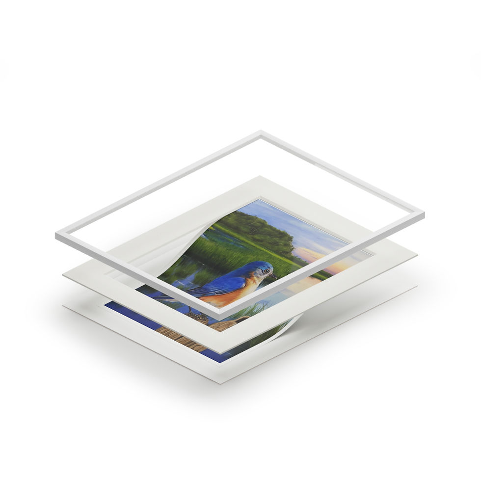 Thumbnail: Fine Art Giclée Prints (with matt frame)