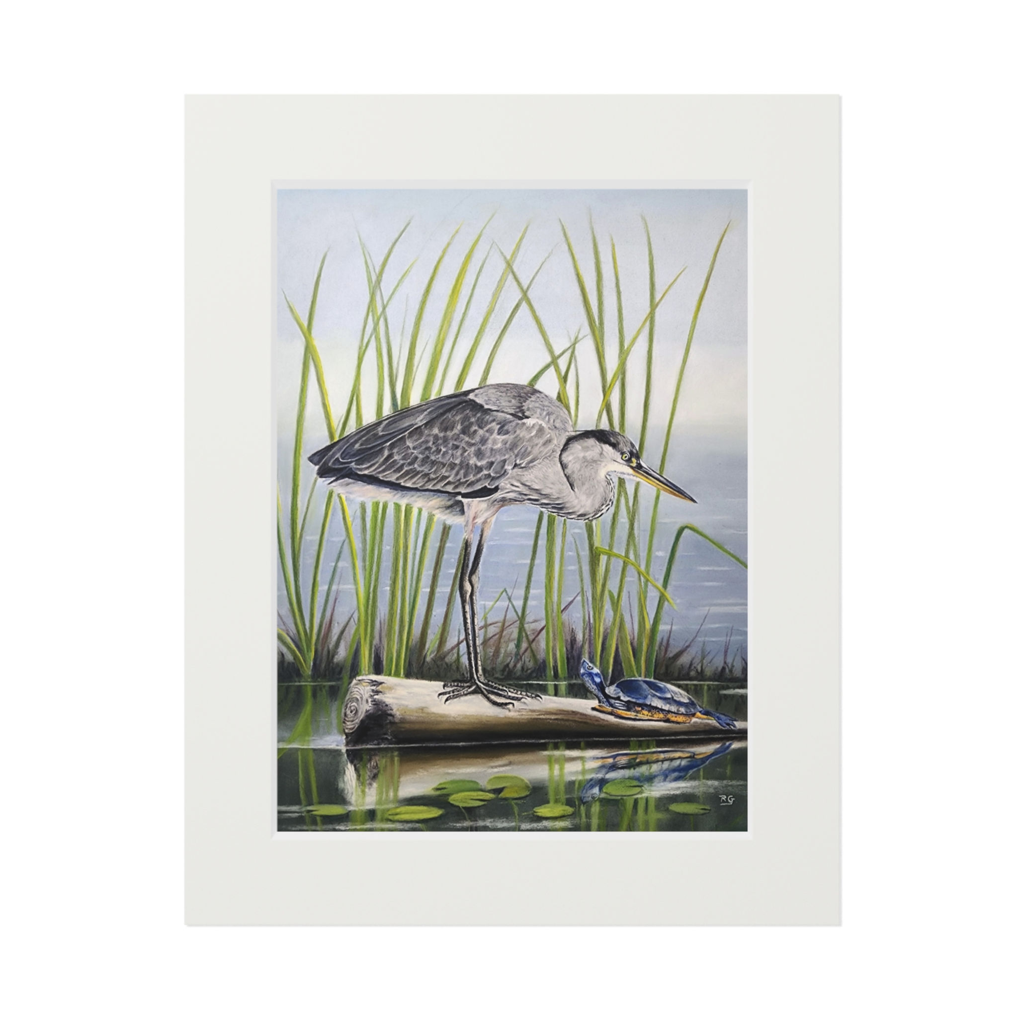 Fine Art Giclée Prints (with matt frame)