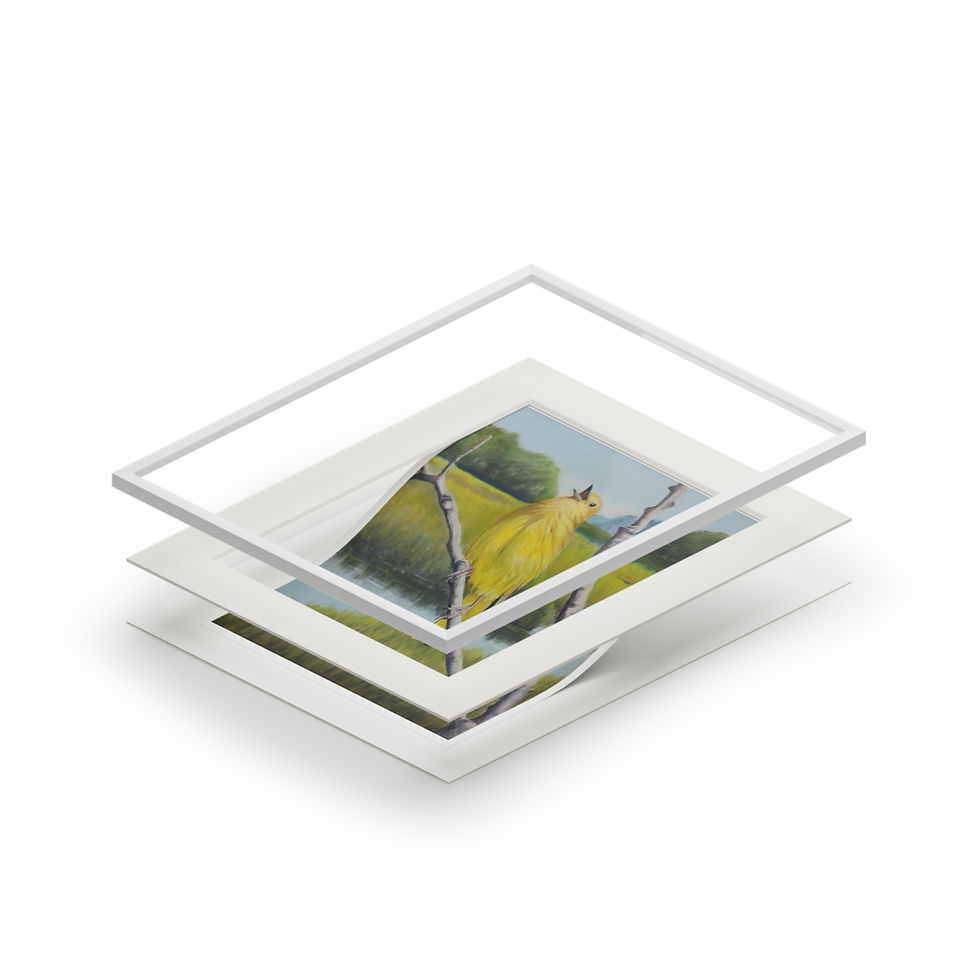 Thumbnail: Fine Art Giclée Prints (with matt frame)