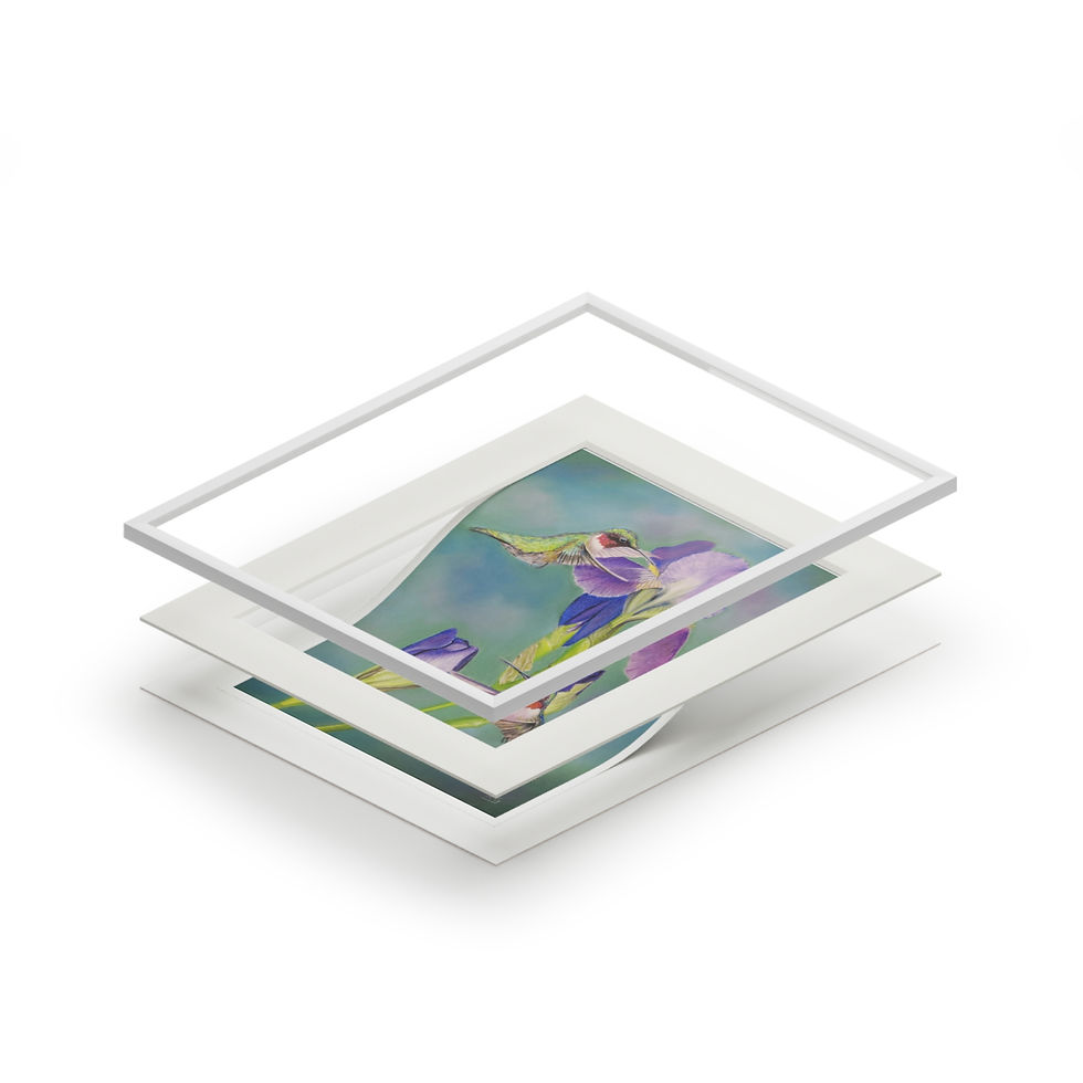 Thumbnail: Fine Art Giclée Prints (with matt frame)