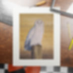 Thumbnail: Fine Art Giclée Print (with matt frame) – Snowy Owl 