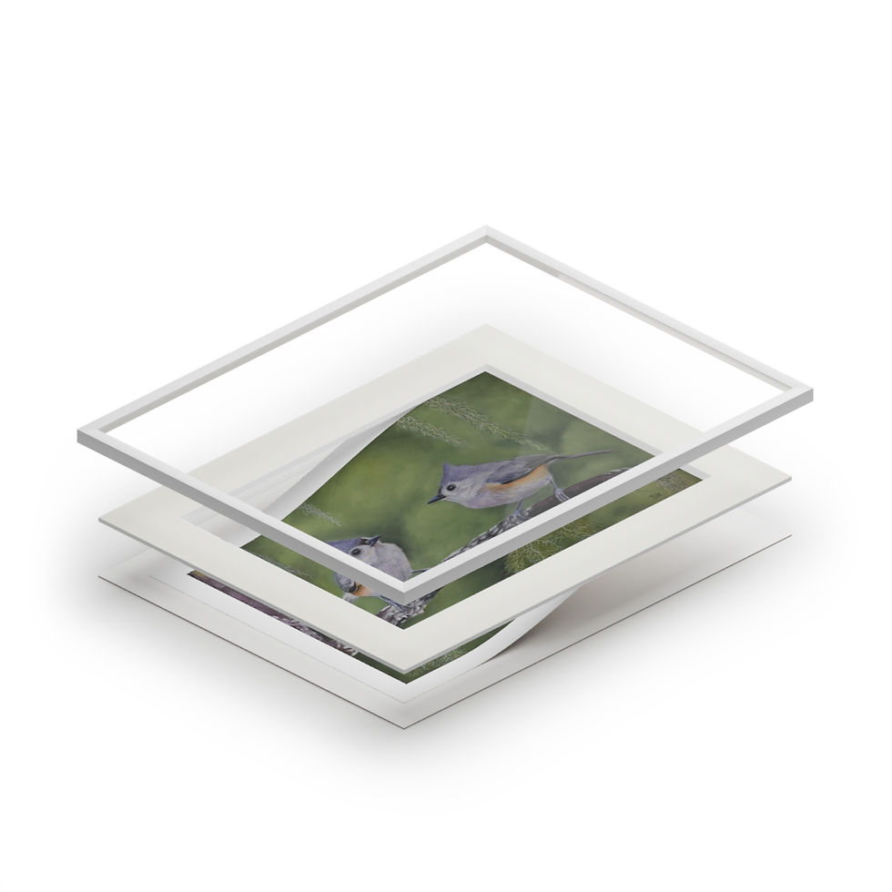 Thumbnail: Fine Art Giclée Prints (with matt frame)