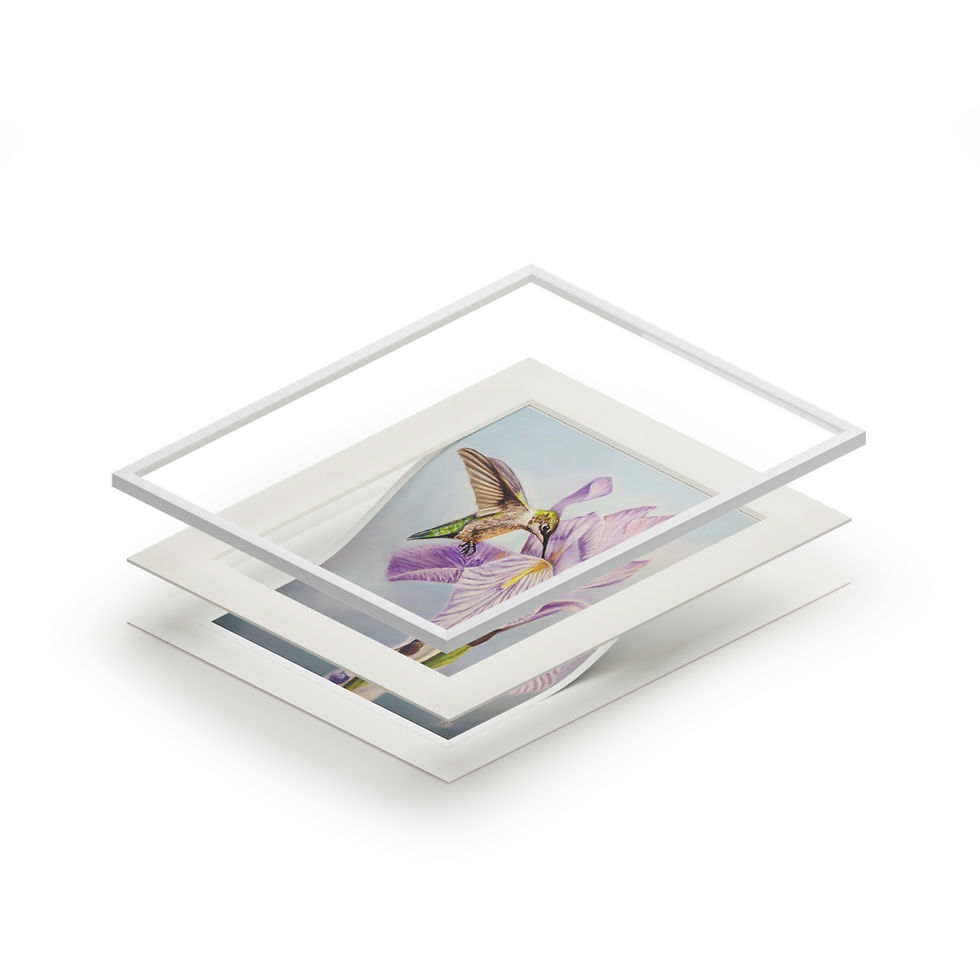Thumbnail: Fine Art Giclée Prints (with matt frame)