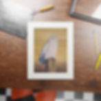 Thumbnail: Fine Art Giclée Print (with matt frame) – Snowy Owl 