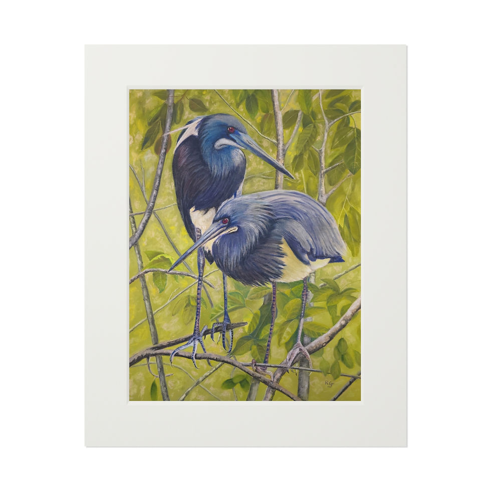 Thumbnail: Fine art Giclée Prints (with matt frame) - Perfect for Nature Lovers