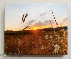 Michael De Marco Sunset and Wheat --