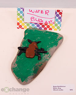 Anya Berkheiser -- Water Bug