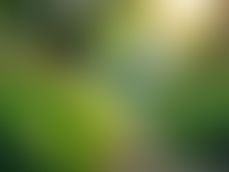 The Importance of Sustainable Living in Today's World