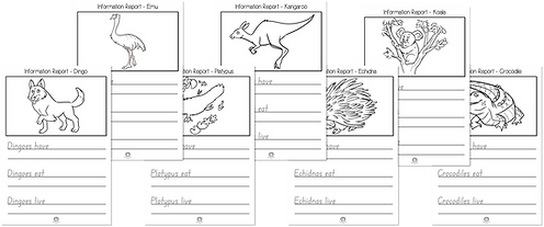 Information Report - Australian Animals.png