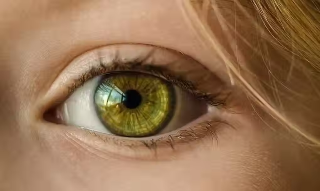 oeil.avif