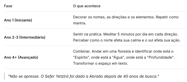 Tabela em português com fases Ano 1, Ano 2-3 e Ano 4+, sobre meditar, combinar direções e uma citação no rodapé.