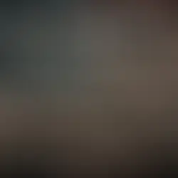 OpCritical usa rock, trap e punk para refletir sobre o estado crítico da América. O novo single, "USA" (20/03/26), segue "Not Alone", clamando por união para recuperar a democracia e a decência.