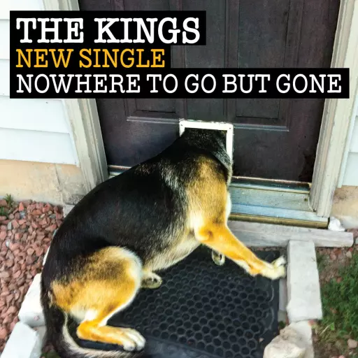 A banda The Kings toca? A música Nowhere To Go But Gone toca aqui