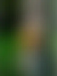 Christopher James, de Ohio, foi músico do Exército dos EUA por 20 anos. Hoje, ele usa country (90s/00s), rock e pop para contar histórias de vida, como no single "Friday Lights and Tailgate Nights".