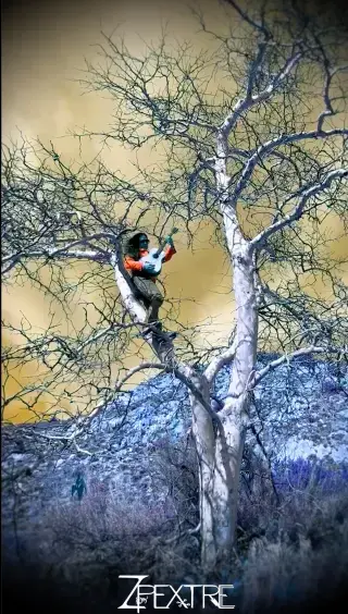 Zpextre, artista "faça você mesmo" (skatista, músico, médico), evoluiu do pop do século XX. Sua música, de escape a meio de união, resultou no single "All Hands", lançado em 20/02/2026.