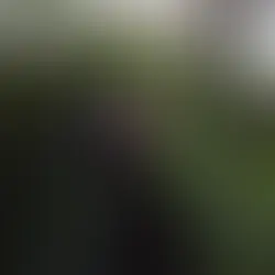 Invadable Harmony é o projeto da compositora e produtora marroquina Mounia Sebti, engenheira que virou musicista após um despertar. Reconhecida globalmente, é Top 1% de artistas do mundo.