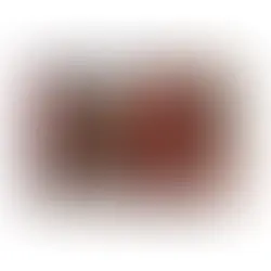 Neato é um quinteto de Tempe, Arizona, formado em 2007, conhecido por apresentações enérgicas e música ousada. O single "SO LONG" aborda a necessidade de se libertar de pesos para seguir em frente.