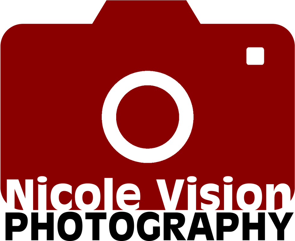 Nicole Vision Logos