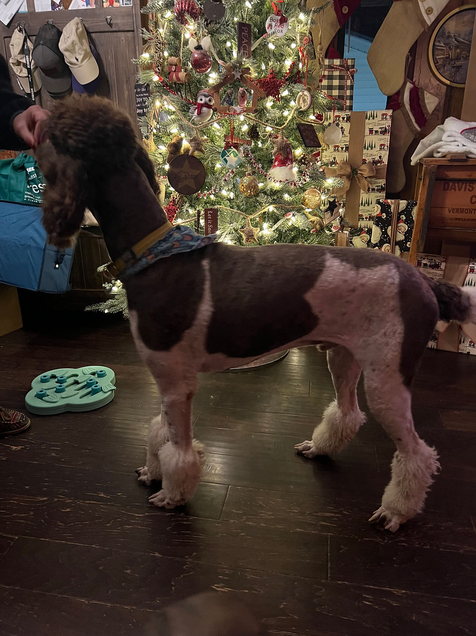 Sawyer Wayne (1).jpeg