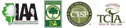 Honor Arboreal Certifications