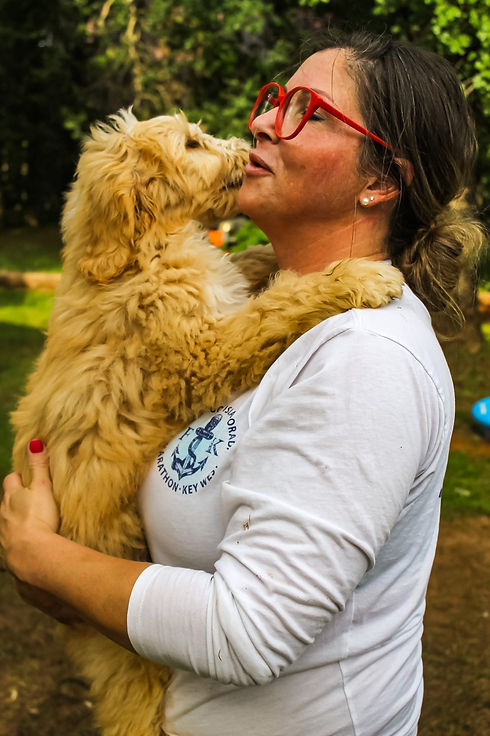 Danielle hamilton pioneer poodles and doodles.jpeg