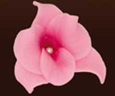 Thumbnail: Pink sugar flower decoration