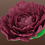 Thumbnail: Burgundy peony flower cake decoration