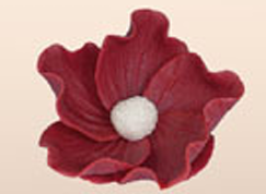 Thumbnail: Burgundy sugar flower with white center