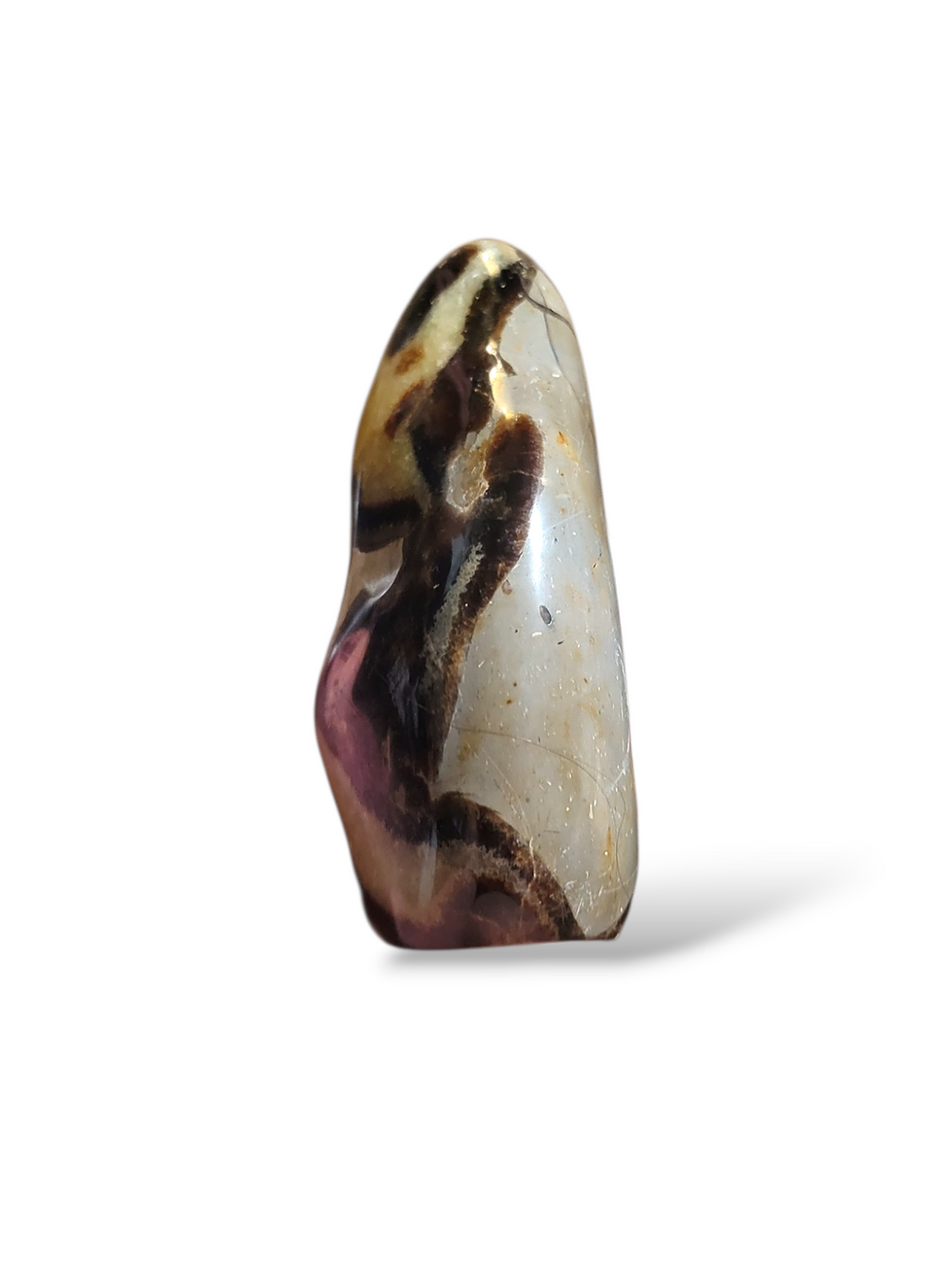 Thumbnail: Large Septarian Freeform