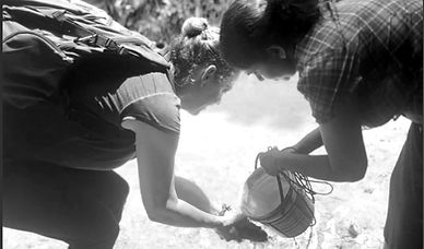 IMG_7831_edited.jpg