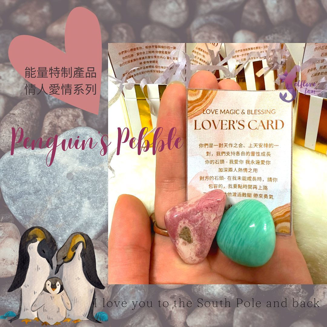 企鵝定情系列 - Penguin’s pebble