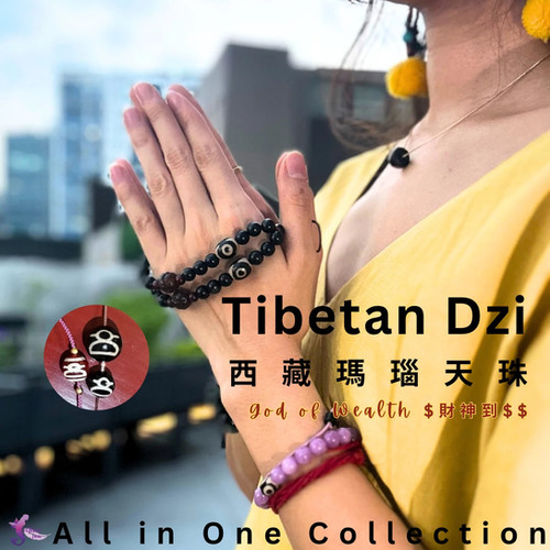 【超希少品】西藏天珠The Gzi Beads of Tibet 天珠の本 チベット天珠 最古の記載 ジービーズ 老天珠について