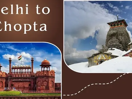 Delhi to Chopta by Road – Distance, How to Reach and Other Details