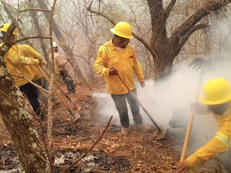 Atiende Coesfo reactivación del incendio en Santa María Colotepec