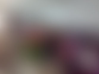 SSO y autoridades del Istmo unen esfuerzos contra el dengue