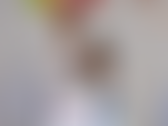 En un año de trabajo transformamos al DIF Oaxaca: Irma Bolaños