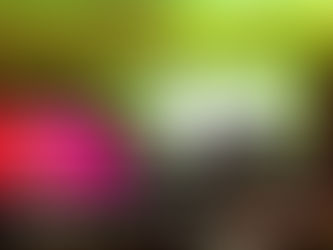 Destacan preservación de música oaxaqueña en aniversario de la Casa de Cultura Andrés Henestrosa