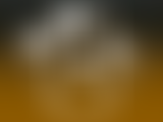 ¿Plan Amigo?… se van y no devuelven 77 iPhones comprados con el erario en NL