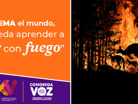 Se quema el mundo, sólo queda aprender a “vivir con fuego”.