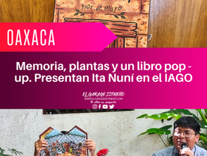 Memoria, plantas y un libro pop - up. Presentan Ita Nuní en el IAGO