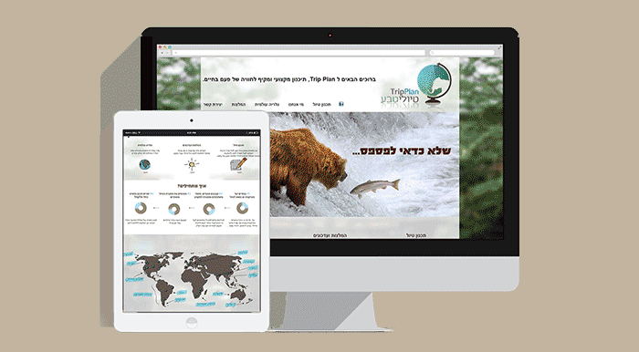 Responsive Web