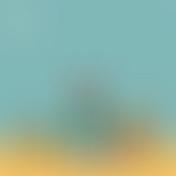 Why 95% of Self-Published Books Never Get Discovered (And What the Other 5% Do Differently) - Book Marketing