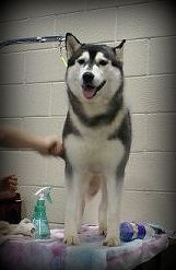 2642502460060508118s600x600q85