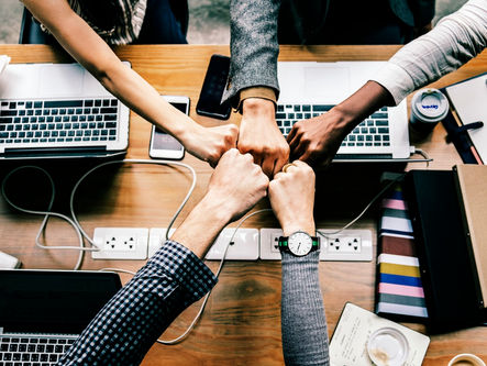 Tips for Employing the Best Team Member for your Business