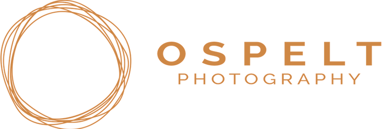 Logo Picdrop_edited.png