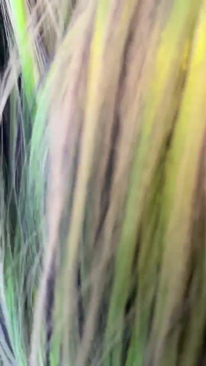 Thumbnail: Retro Dolls UK© Nylon doll hair for rerooting and customising dolls and My Little Pony®