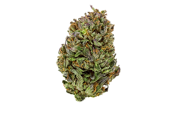 Kush Bud