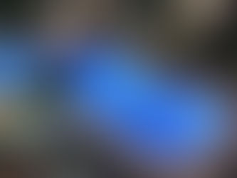 Garden of Eden, iulie 2023