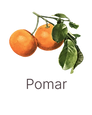 250620_icon_pomar.png