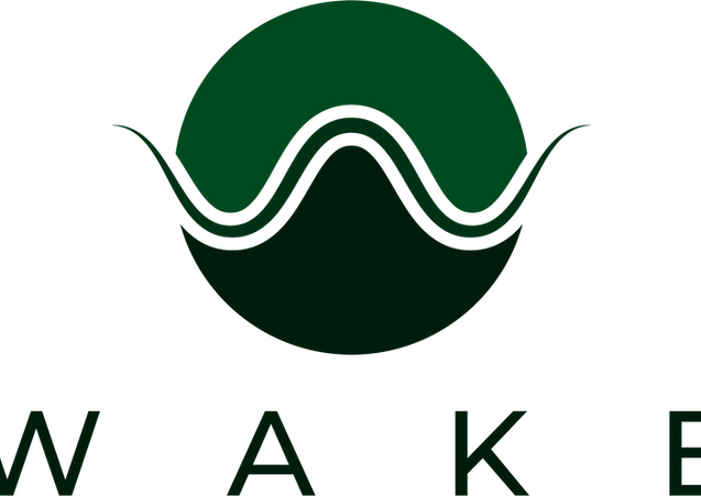 WAKE.png